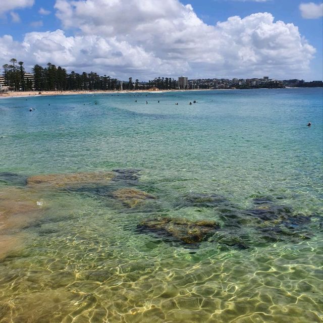 sunny manly beach