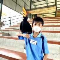 #ที่เที่ยวพัทยา
