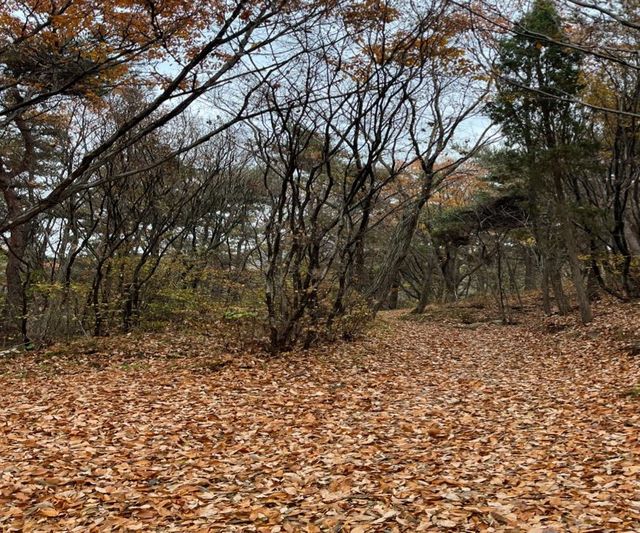 인천 무의도 여행