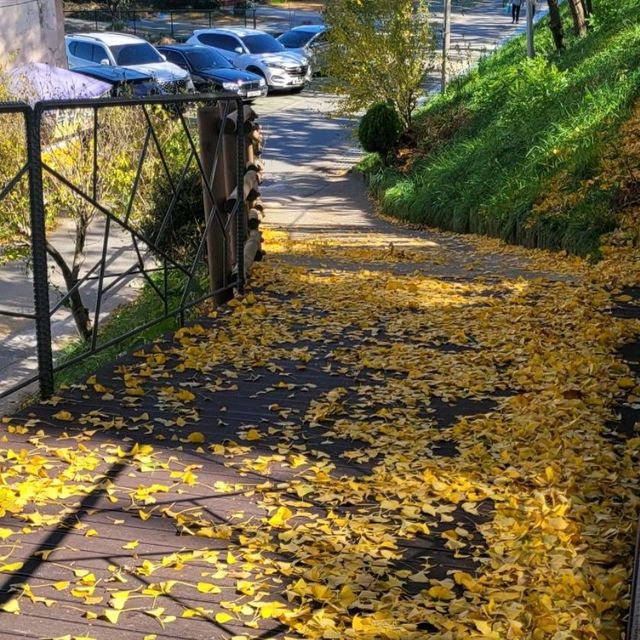 Yellow Tree in Autumn 