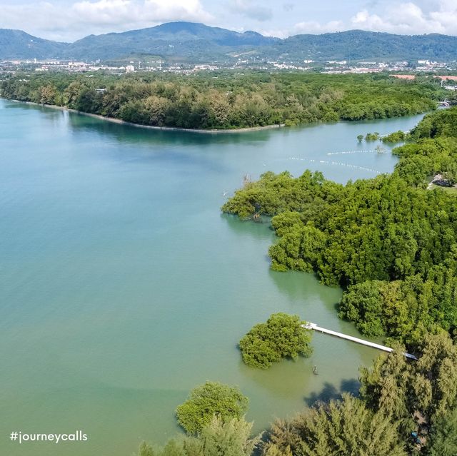 The Mangrove by Blu Monkey ที่พักภูเก็ต