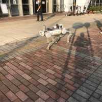 澳門大學都有住宿體驗！