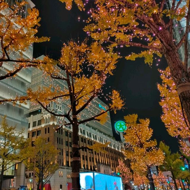 【大阪 難波】光の饗宴✨御堂筋のイルミネーション