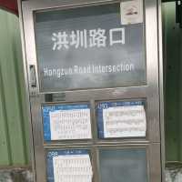 桃園八德免門票景點～「霄裡大池落羽松林」…Ig打卡勝地