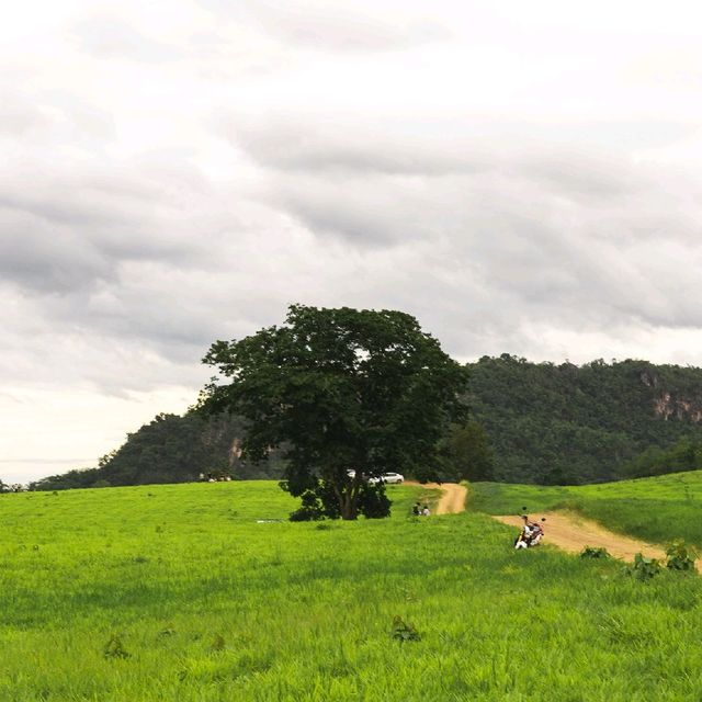 ทุ่งหญ้าสะวันนา จ.เลย 🌳