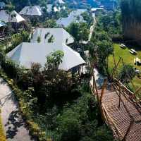Oak Tree Glamping Resort