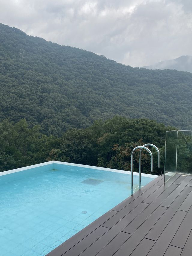 김해 숲뷰 카페