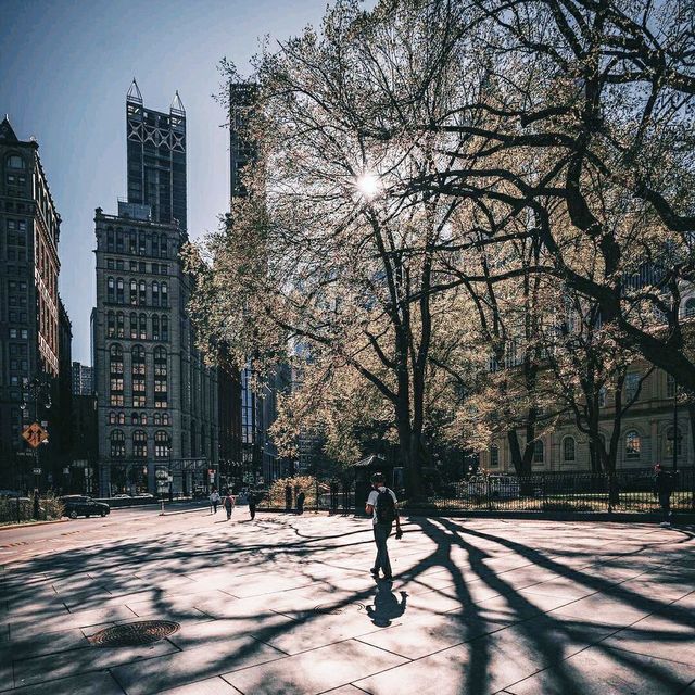 Spring In New York