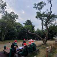 香港好去處 ～ 位於太平山的「夏力道」