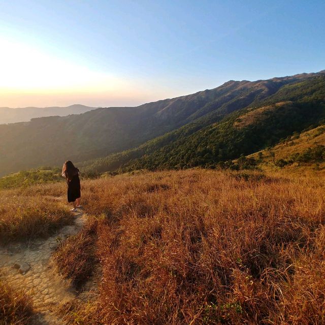 夢之大帽山