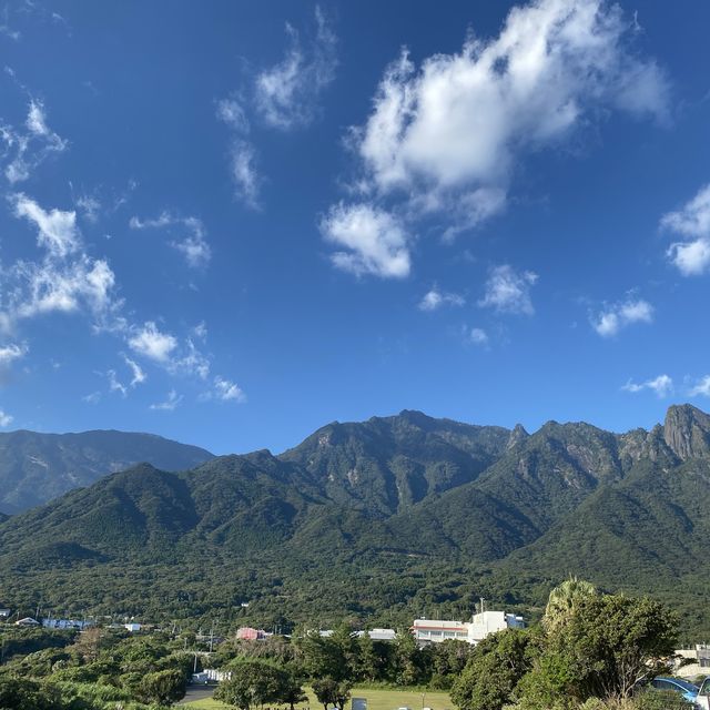 空路で行く屋久島✈️