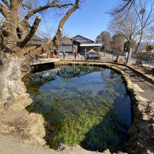 忍野八海・湧池