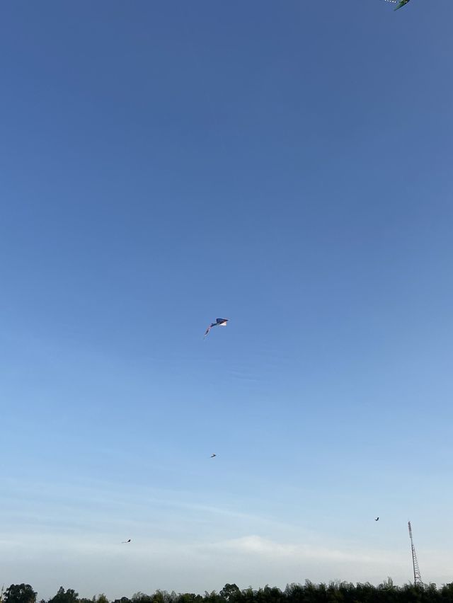 Kite flying in Chiangmai 