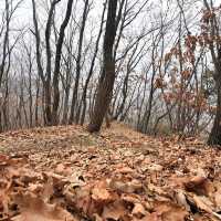 일출 멋진 용인 산, 석성산!