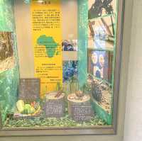 冬の円山動物園・チンパンジー館