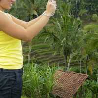 The Best Bali Rice Fields to Visit