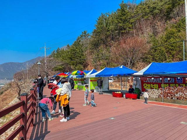 경남 양산 가볼만한곳 순매원 매화마을