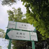 長洲+北眺亭+東灣仔