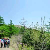 지리산 바래봉 등산 