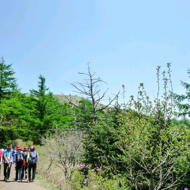지리산 바래봉 등산 