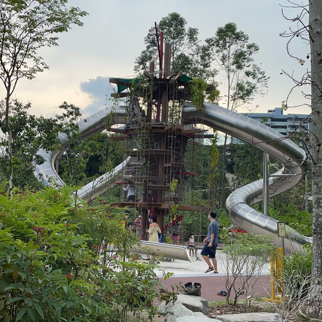 A walk in the park at Jurong Lake Gardens 