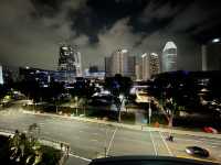 City views from Esplanade rooftop