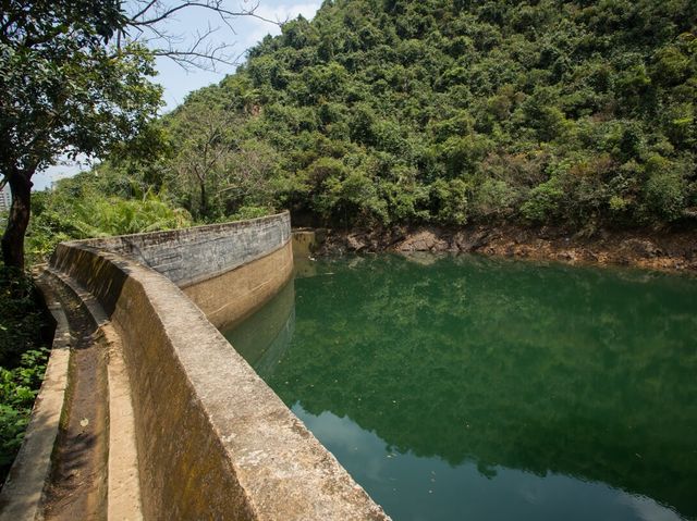 鬧市中的綠洲—牛鳥水塘