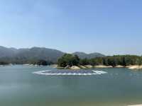 帶你近距離欣賞大欖水塘
