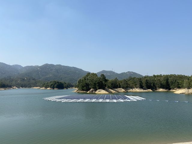 帶你近距離欣賞大欖水塘