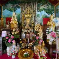 ไหว้พระวัดดังจังหวัดลำพูน วัดพระธาตุหริภุญชัย