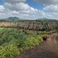 Retreat to pepper farm in Cambodia!