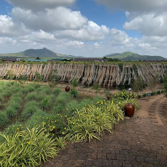 Retreat to pepper farm in Cambodia!