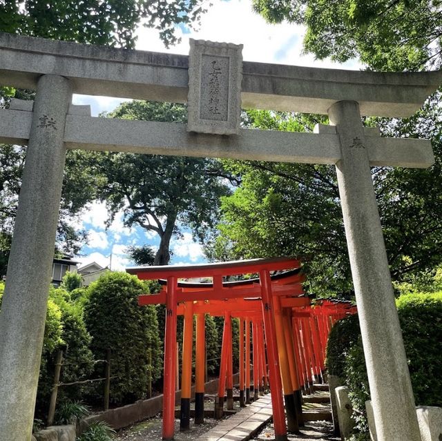 Nezu Shrine 