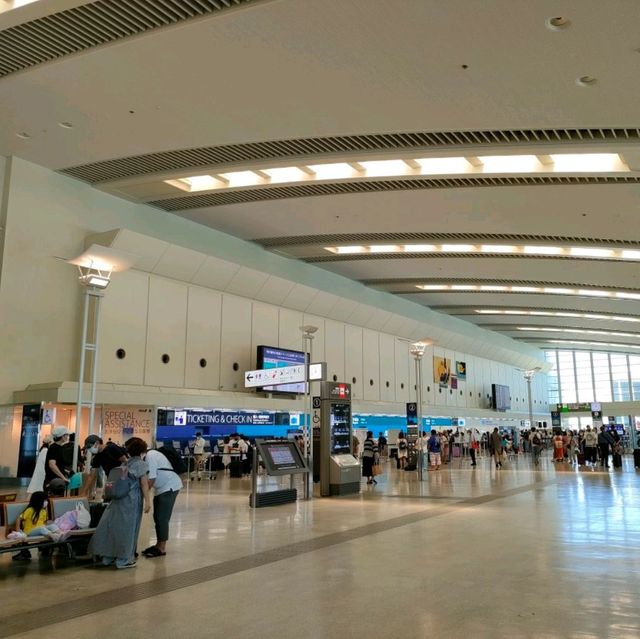 【沖縄 那覇】那覇空港で沖縄だけのアイス✨