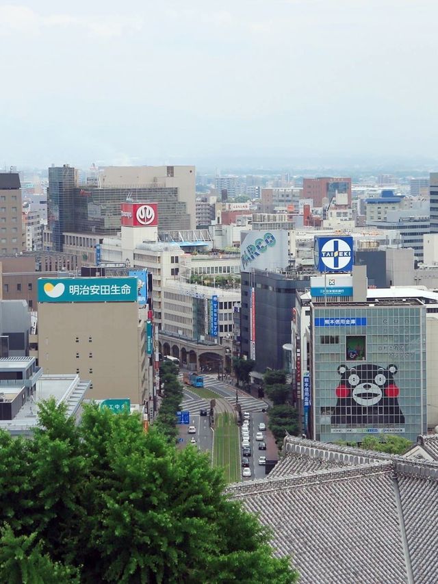 ➰熊本縣的吉祥物🐻➰