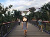 新加坡最美花園—Gardens by the Bay