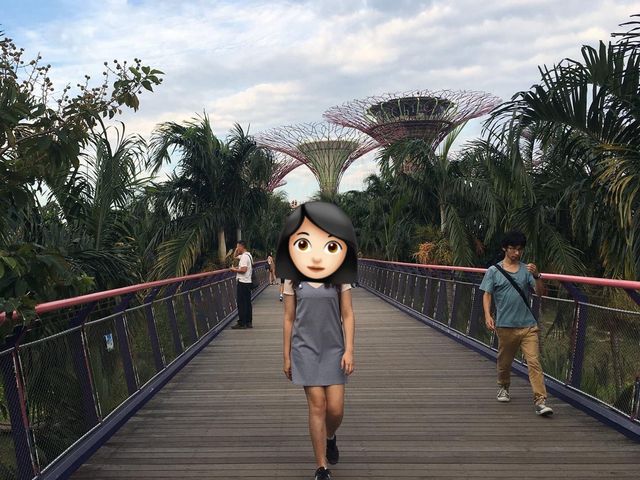 新加坡最美花園—Gardens by the Bay
