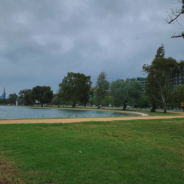 Albert Park 💙 멜버른에서 피크닉해요