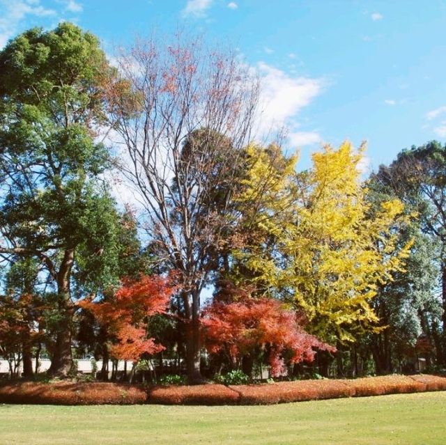 Beautifully landscaped Suizenji Jojuen Garden