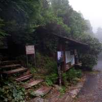 屋久島の名山　黒味岳