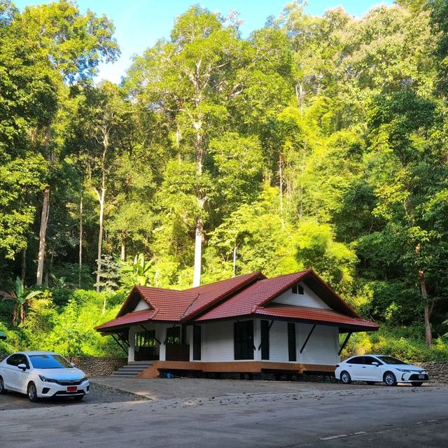 น้ำพุร้อนไทรงาม อำเภอปาย