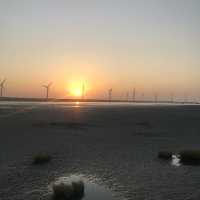 Amazing wind farm at Wetlands 