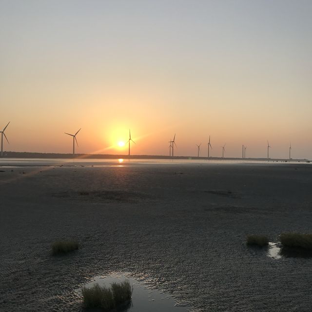 Amazing wind farm at Wetlands 