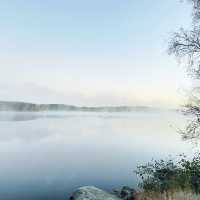 nice morning