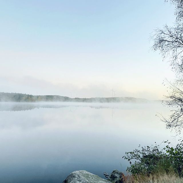 nice morning