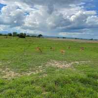 National park Tanzania