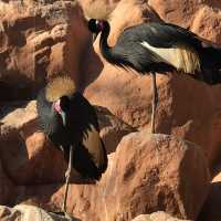 Al Areen Wildlife Park & Reserve