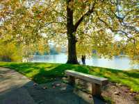 Beautiful in all seasons - Regent's Park 🇬🇧