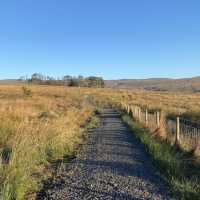 Three Lochs Way-Balloch to Helensburgh 