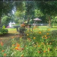 An elegant boutique hotel: Manor House 🏡 